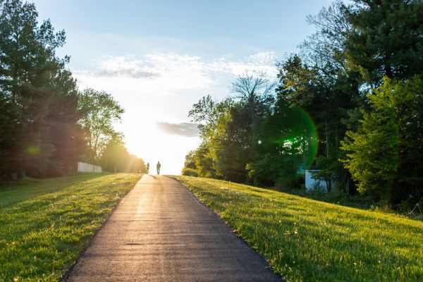 Asphalt Pathway Installation in Bloomington