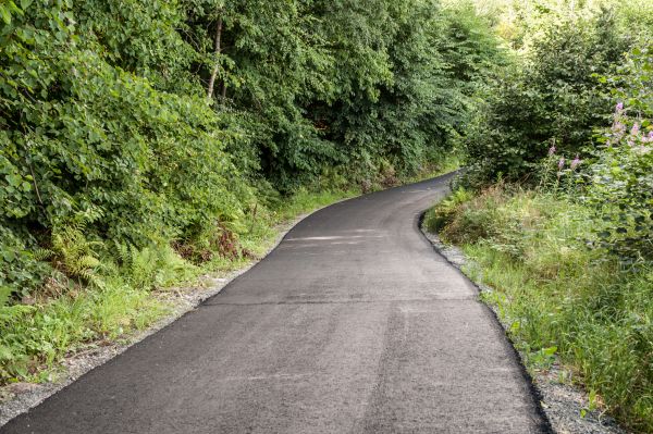 Asphalt Driveway Replacement in Bloomington